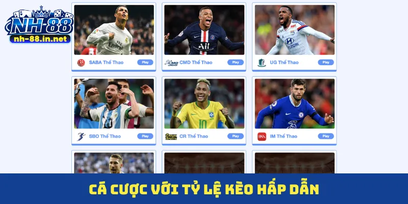 Cá cược với tỷ lệ kèo hấp dẫn