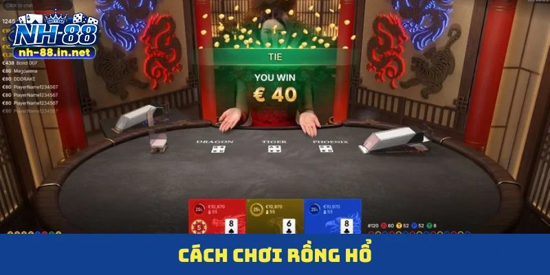 cách chơi rồng hổ