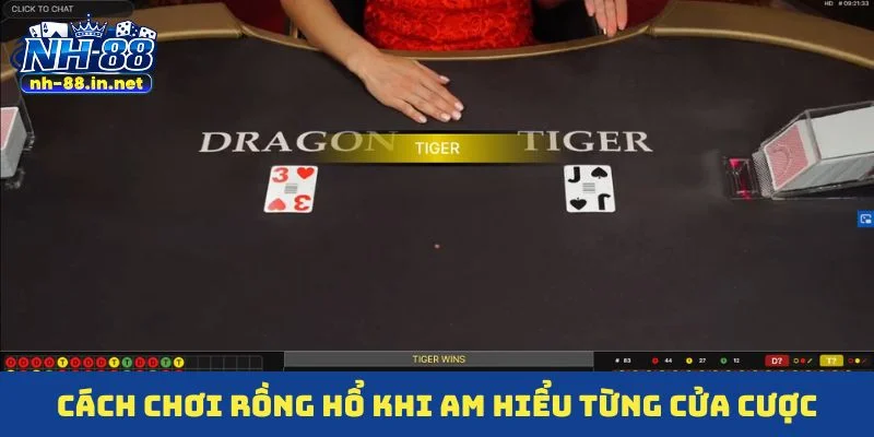 Cách chơi Rồng Hổ sáng suốt khi am hiểu từng cửa cược