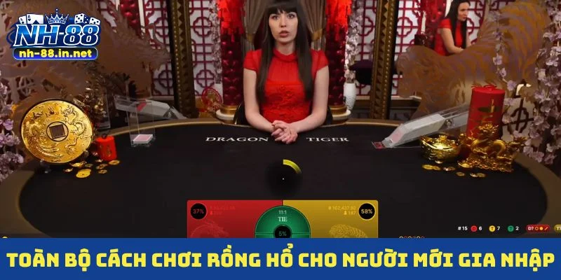 Toàn bộ cách chơi Rồng Hổ cho người mới gia nhập